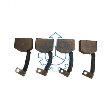 Carbon brush set, starter