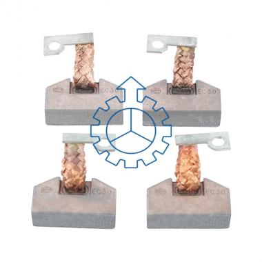 Carbon brush set, starter