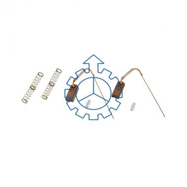 Carbon brush set, alternator