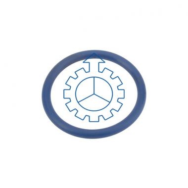 VOLVO O-ring