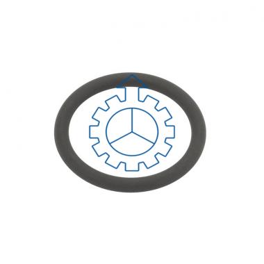 VOLVO O-ring
