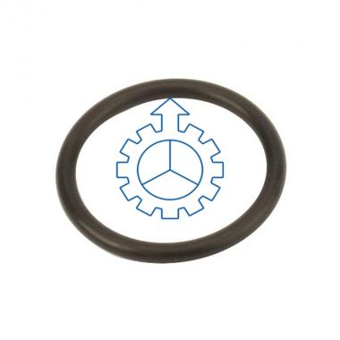 VOLVO O-ring