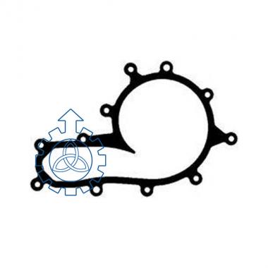 water pump gasket